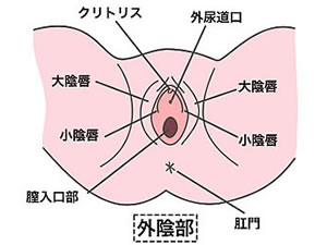 『まんこ』とは・・・